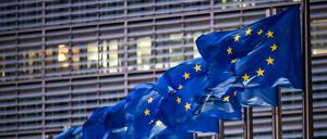 Die EU-Kommission. 