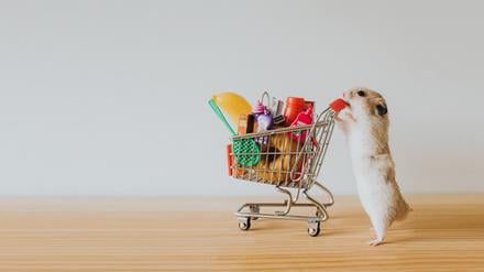 Shoppen, Schulden machen, Geld ranschaffen – durch seine Kaufsucht machte Daniel sein Leben zum Hamsterrad.