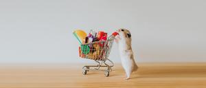 Shoppen, Schulden machen, Geld ranschaffen – durch seine Kaufsucht machte Daniel sein Leben zum Hamsterrad.