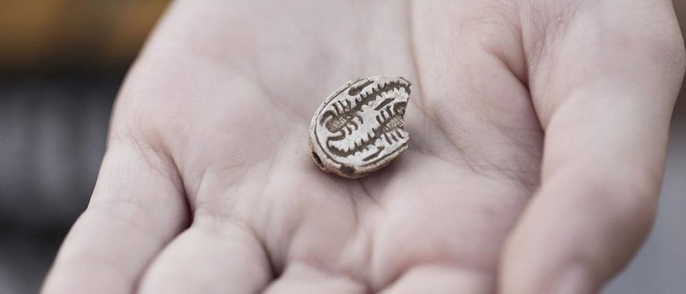 Das rund 3.500 Jahre altes Skarabäus-Amulett, das ein Mädchen in Israel gefunden hat. 