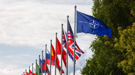 NATO-Flagge sowie Nationalflaggen vieler Mitgliedsstaaten des Verteidigungsbündnisses beim NATO-Gipfel in Vilnius im Jahr 2023.  