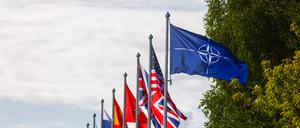 NATO-Flagge sowie Nationalflaggen vieler Mitgliedsstaaten des Verteidigungsbündnisses beim NATO-Gipfel in Vilnius im Jahr 2023.  