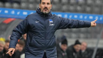 Fiél könnte auf prominente Rückkehrer setzen. 