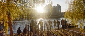 Goldener Herbst am Urbanhafen in Berlin-Kreuzberg. (Symbolbild)