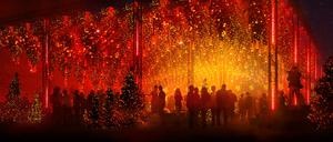 Winterlights