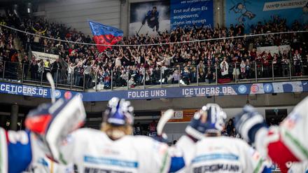 Die Fahrt hat sich gelohnt. Jubelnde Eisbären vor ihren Fans in Nürnberg.