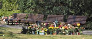 36.622 Brandenburger sind im Jahr 2023 gestorben. (Symbolbild)