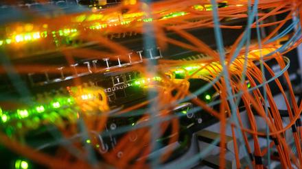 Die Plattform „Crimenetwork“ galt laut BKA als größter deutschsprachiger Online-Marktplatz für illegale Waren und Dienstleistungen. (Symbolbild)