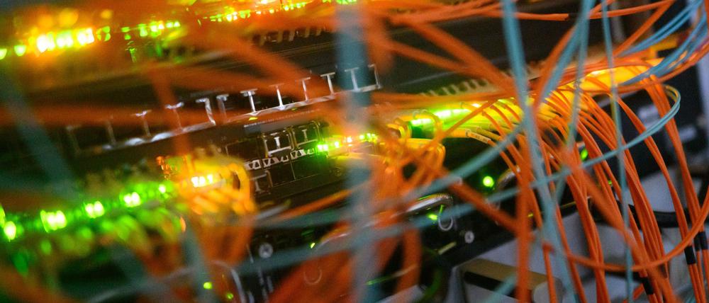 Die Plattform „Crimenetwork“ galt laut BKA als größter deutschsprachiger Online-Marktplatz für illegale Waren und Dienstleistungen. (Symbolbild)
