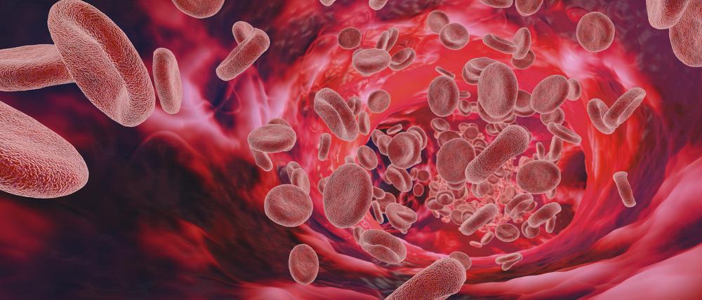 An Protein- und Zuckerstrukturen auf ihrer Oberfläche können Typen von roten Blutkörperchen unterschieden werden.