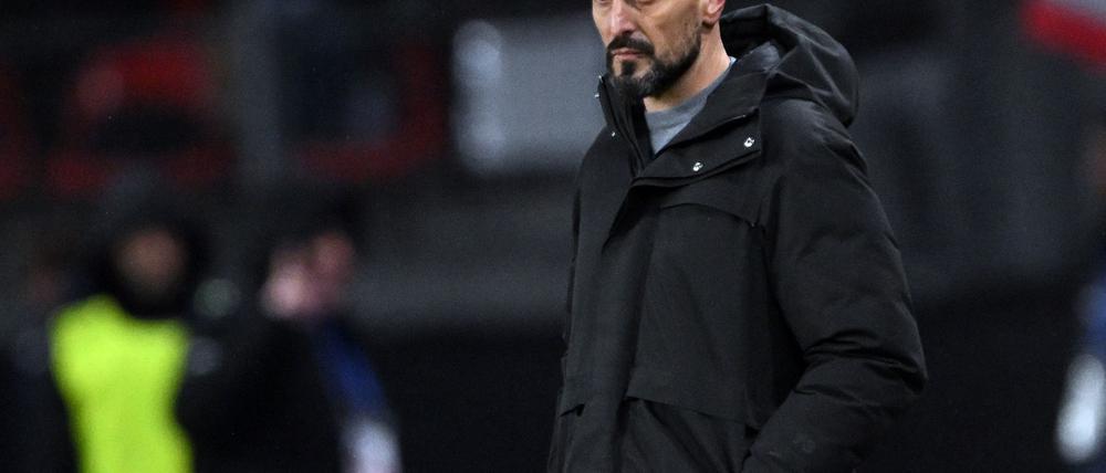 U21-Nationaltrainer Antonio Di Salvo freut sich auf die EM-Endrunde. Dort trifft sein Team 