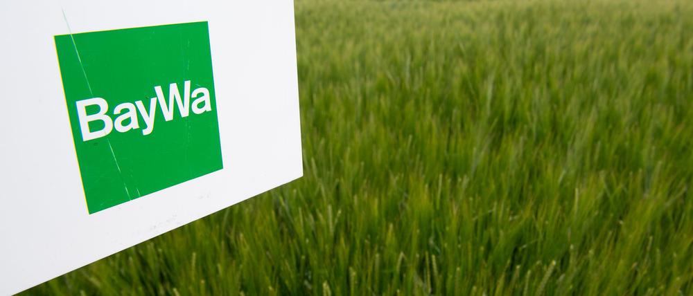 Die Baywa ist der größte deutsche Agrarhändler. Wegen Schulden in Milliardenhöhe steht dem Konzern eine jahrelange schmerzliche Sanierung bevor.