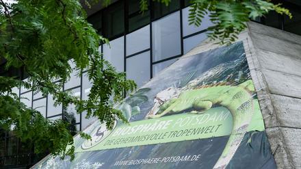 Die Landeshauptstadt Potsdam muss sparen: Wird die Biosphäre Potsdam geschlossen? (Archivbild)