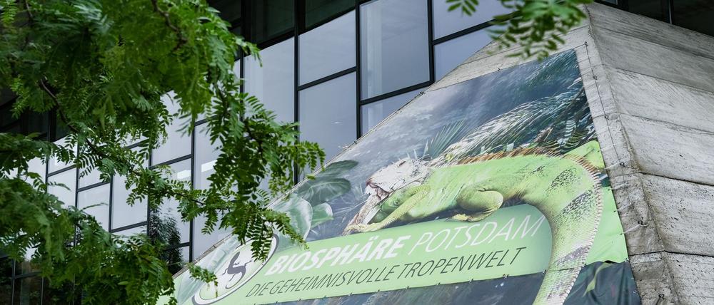 Die Landeshauptstadt Potsdam muss sparen: Wird die Biosphäre Potsdam geschlossen? (Archivbild)