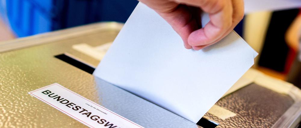 Die Potsdamer müssen zwischen verschiedenen Direktkandidaten zur Bundestagswahl entscheiden.
