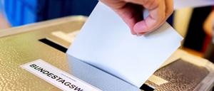 Die Potsdamer müssen zwischen verschiedenen Direktkandidaten zur Bundestagswahl entscheiden. 