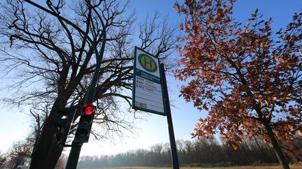 Auf diesem Areal am Campus Jungfernsee sollte das Flüchtlingsdorf gebaut werden.