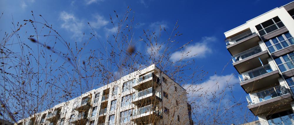 Mietwohnungen sind teuer in Berlin. Wenn die Mietpreisbremse endgültig auslaufen sollte, könnte sich die Situation verschärfen.