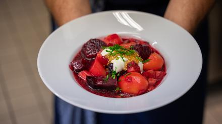Beets Bourguignon mit Kartoffeln, Crème fraîche und Senfsaat in der BVG-Kantine in Lichtenberg.