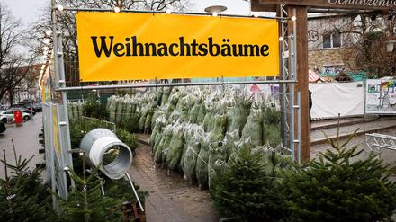 Weihnachtsbäume haben in Deutschland eigentlich immer Nadeln. (Archivbild)