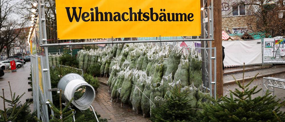 Weihnachtsbäume haben in Deutschland eigentlich immer Nadeln. (Archivbild)