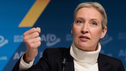 AfD-Chefin Alice Weidel soll ihre Partei als Kanzlerkandidatin in den Bundestagswahlkampf führen. 