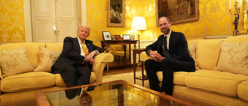 Trump nutzte seinen Besuch in Paris auch für ein Treffen mit dem britischen Thronfolger.