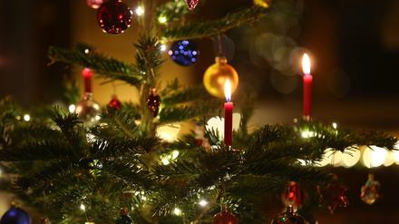 Geschmückter Christbaum.