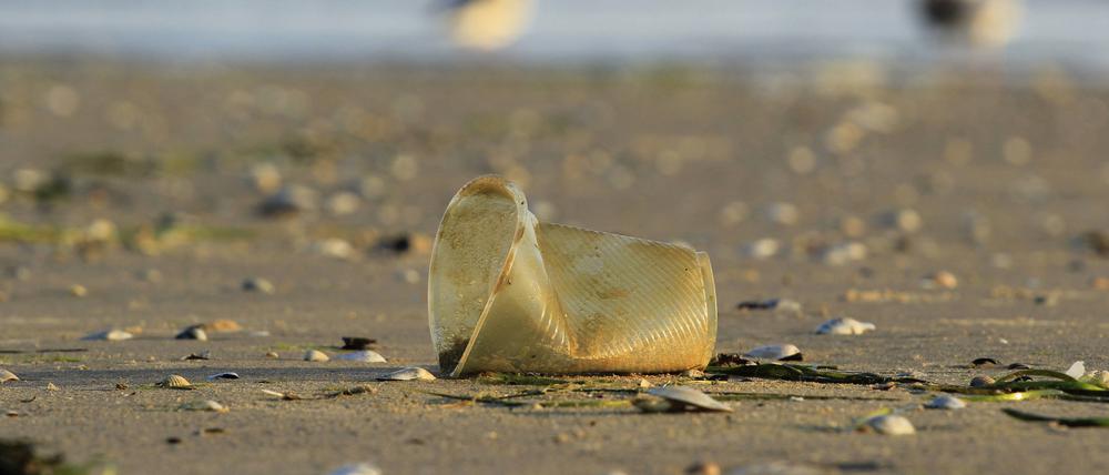 Wegwerfprodukte wie Plastikbecher machen einen großen Teil des anfallenden Plastikmülls aus, der sich durch bessere Regulierung vermeiden ließe.