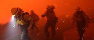 Im kalifornischen Malibu kämpft die Feuerwehr gegen einen rasch wachsenden Waldbrand.