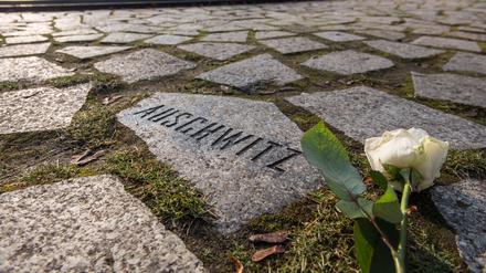  Ein Gedenkstein im Berliner Denkmal für die im Nationalsozialismus ermordeten Sinti und Roma Europas.
