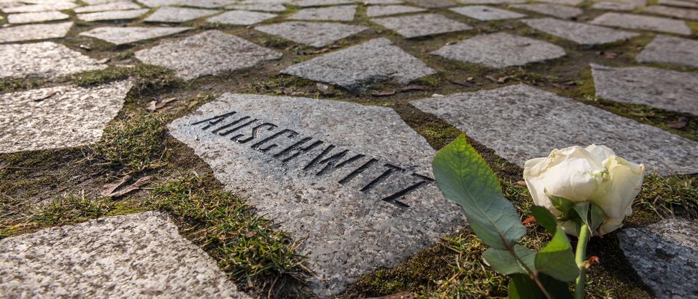 Ein Gedenkstein im Berliner Denkmal für die im Nationalsozialismus ermordeten Sinti und Roma Europas.