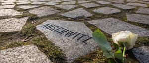  Ein Gedenkstein im Berliner Denkmal für die im Nationalsozialismus ermordeten Sinti und Roma Europas.