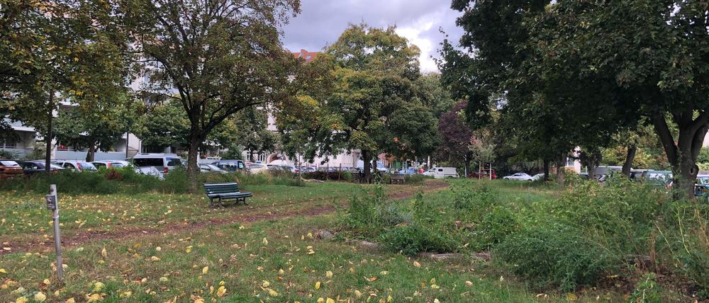 Um den Schmollerplatz in Alt-Treptow ist ein Nachbarschaftsstreit entbrannt
