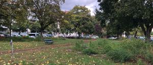 Um den Schmollerplatz in Alt-Treptow ist ein Nachbarschaftsstreit entbrannt