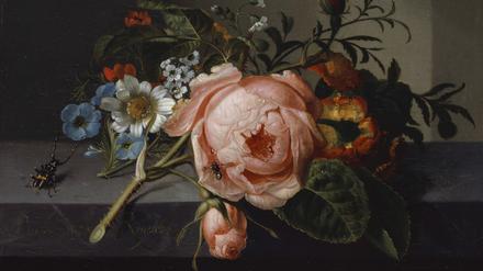 Kreativ bis ins hohe Alter: Rachel Ruysch stand noch mit Mitte 80 vor der Staffelei. Ihr „Stillleben mit Rosenzweig, Käfer und Biene“ malte sie 1741 – da war sie bereits 77 Jahre alt.