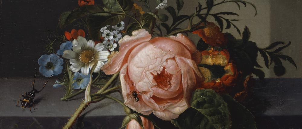 Kreativ bis ins hohe Alter: Rachel Ruysch stand noch mit Mitte 80 vor der Staffelei. Ihr „Stillleben mit Rosenzweig, Käfer und Biene“ malte sie 1741 – da war sie bereits 77 Jahre alt.