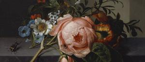 Kreativ bis ins hohe Alter: Rachel Ruysch stand noch mit Mitte 80 vor der Staffelei. Ihr „Stillleben mit Rosenzweig, Käfer und Biene“ malte sie 1741 – da war sie bereits 77 Jahre alt.