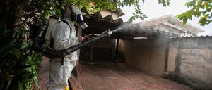 Ein Arbeiter der Stadt räuchert ein Viertel im Norden der brasilianischen Metropole aus im Kampf gegen die Ägyptische Tigermücke (Aedes aegypti), die das Dengue-Virus überträgt. 