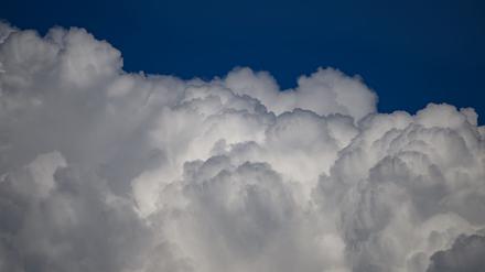 La Niña hat eine kühlende Wirkung auf das Weltklima. Die Wahrscheinlichkeit, dass es sich in den kommenden zweieinhalb Monaten entwickelt, liegt bei 55 Prozent. 