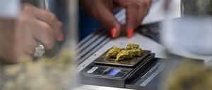 Eine Verkäuferin wiegt auf der Hanfmesse «Mary Jane» CBD-Blüten auf einer Waage. (Symbolbild)