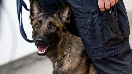 Am Mittwoch wurde die neue Hundestaffel der Berliner Justiz vorgestellt.