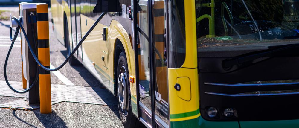 Seit 2018 fördert der Bund die Umrüstung der Busflotten in Deutschland - Tausende E-Busse sind seither im Linienverkehr unterwegs. (Archivbild)
