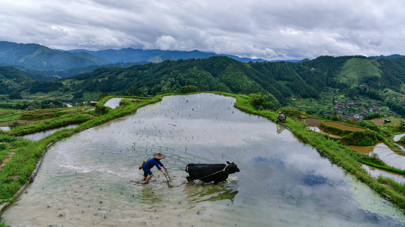UN-Bericht-zeigt-Einsparpotenziale-auf-Weltweiter-Methan-Aussto-sinkt-aber-langsamer-als-n-tig