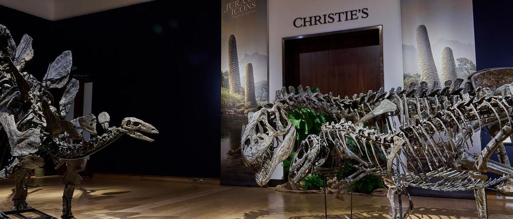 Die Fossilien sind schätzungsweise 157 bis 145 Millionen Jahre alt. 