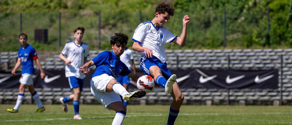 Rund 400 Vereine sind im Berliner Fußball-Verband zusammengeschlossen, diese stellen etwa 3500 Teams.