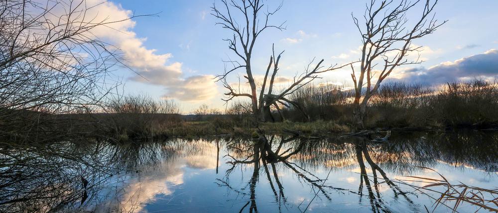 Zum Wochenstart wird mildes und unbeständiges Wetter in Deutschland erwartet.