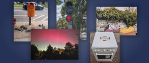 Checkpoint-Fotowettbewerb „Kiekste“: Das sind die besten Berlin-Bilder in 2024Kuriose Stadtmöbel, außergewöhnliche Kunst, tierische Passagiere: Bei welchem Anblick denken Sie: „Typisch Berlin“? Die Checkpoint-Redaktion kürt die besten Fotos.