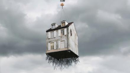Mit den Wurzeln herausgerissen: Bei dem argentinischen Bildhauer Leandro Erlich im Kunstmuseum Wolfsburg geht Erstaunliches vor sich.