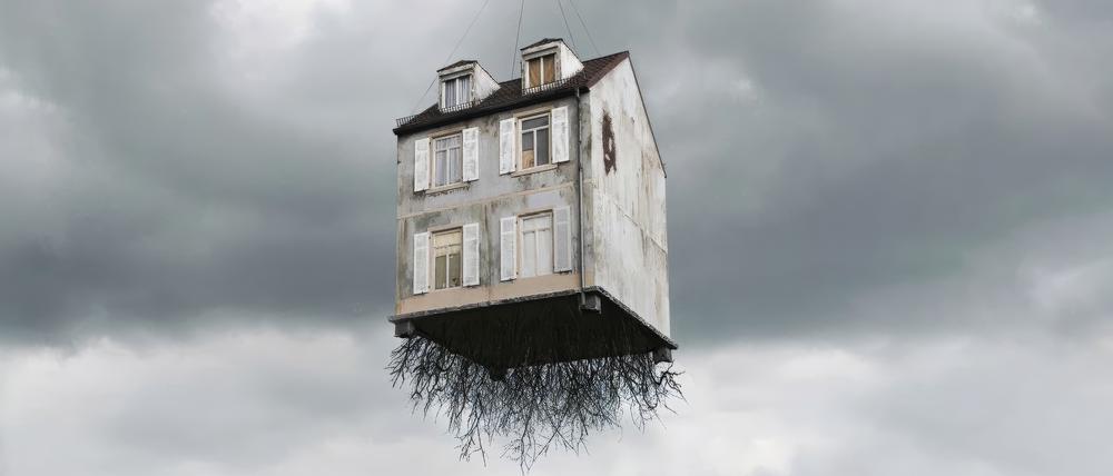 Mit den Wurzeln herausgerissen: Bei dem argentinischen Bildhauer Leandro Erlich im Kunstmuseum Wolfsburg geht Erstaunliches vor sich.